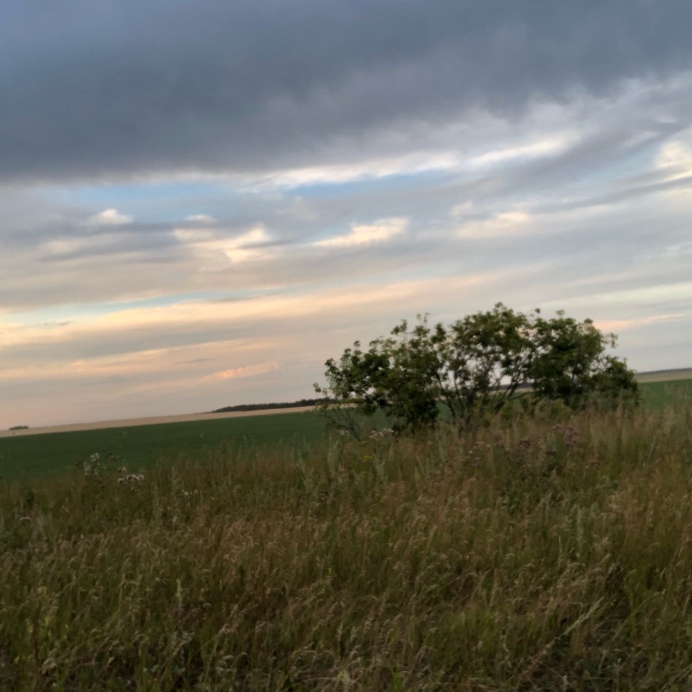 Meet your Posher, Kat